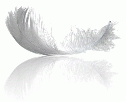 feather